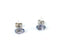 Tanzanite Gold-Stone Earrings 14K White Gold 0.47g