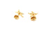 TIFFANY & CO. STARFISH GOLD EARRINGS 4.78G 18K-Y/G, INCLUDES BOX