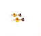 Amethyst Gold-Stone Earrings 10K Yellow Gold 0.36g